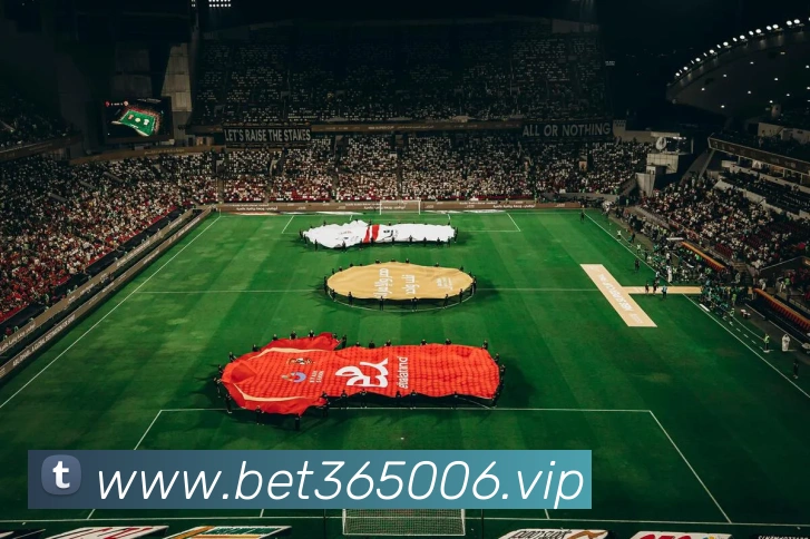 bet365中国官网服务体系